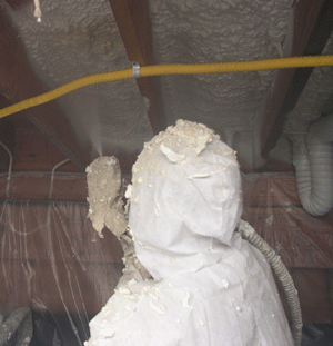 Billings MT crawl space insulation